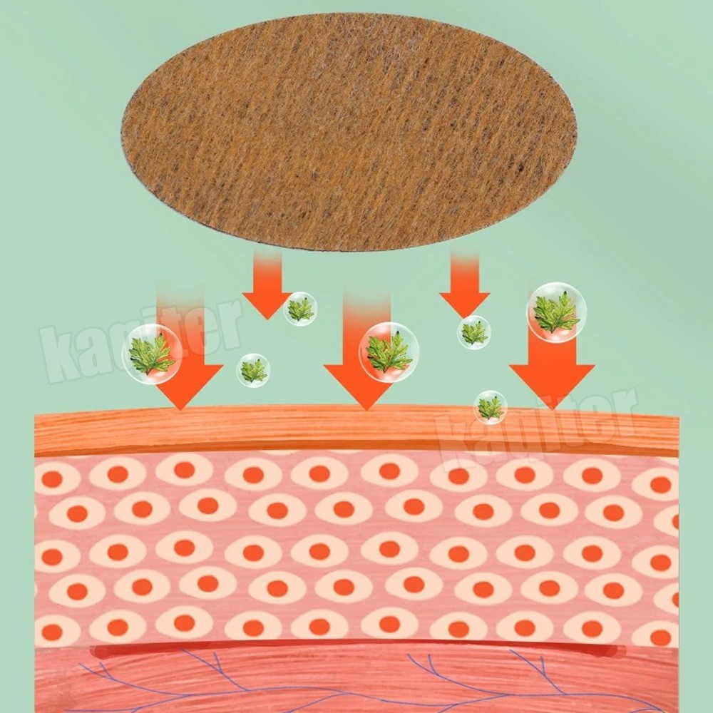 36pcs Tinnitus Treatment Patch - Herbal Wellness Patches ulasan dan harga